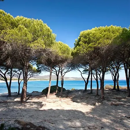 Casa vacanze Casa Pina Budoni